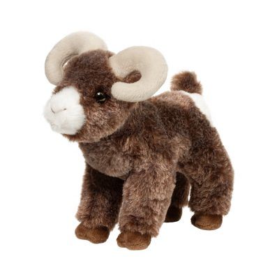 Teton Bighorn Sheep