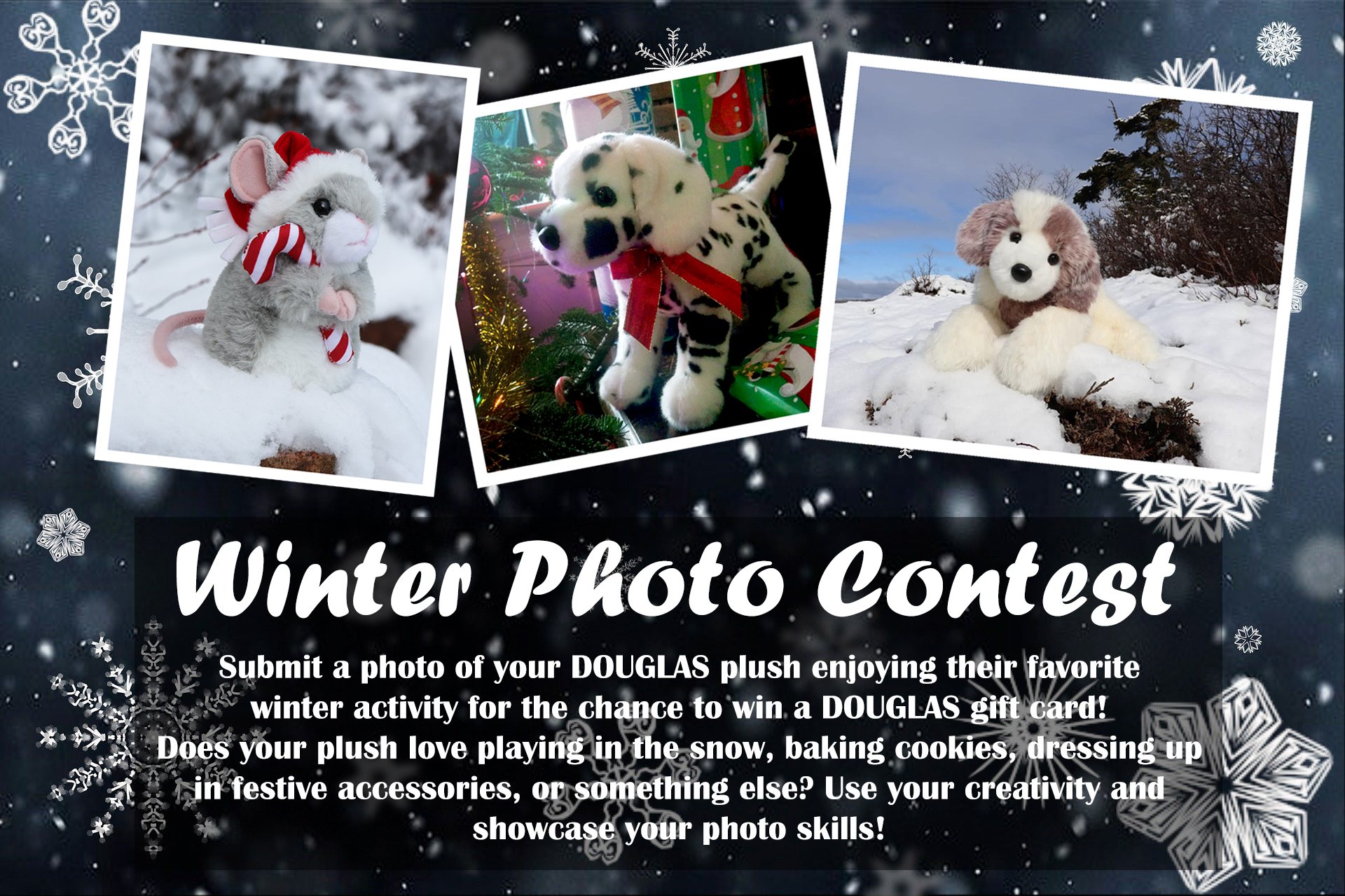 Winter Photo Contest!