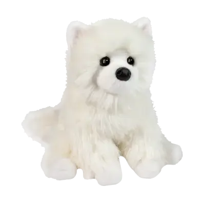 Opo White Pomeranian